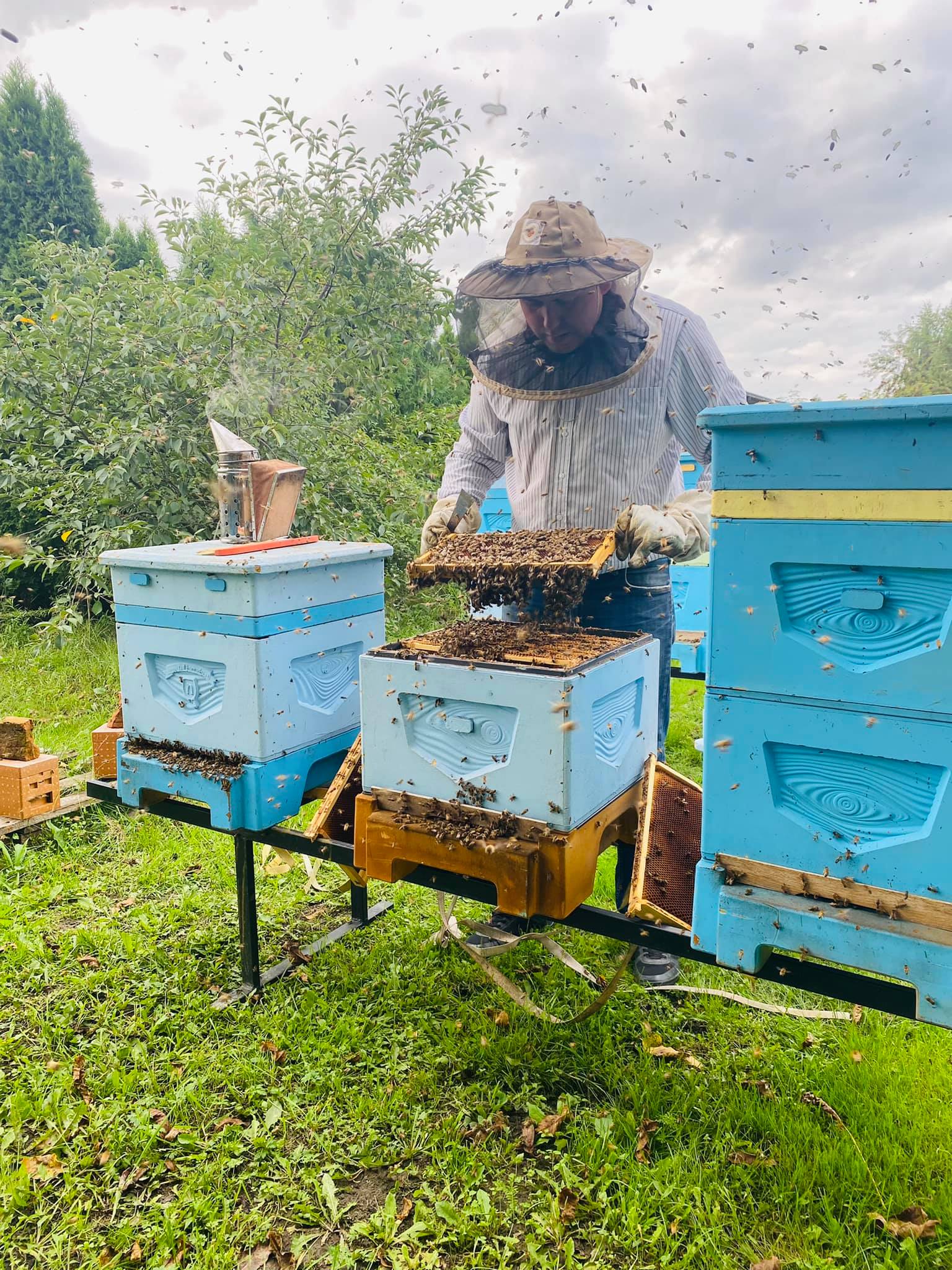 Grzegorz ule pasieka